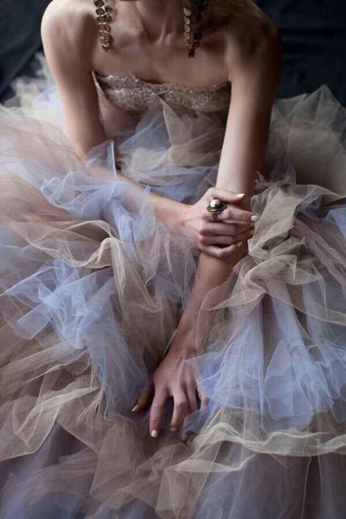Glamour & Gloss Fashion