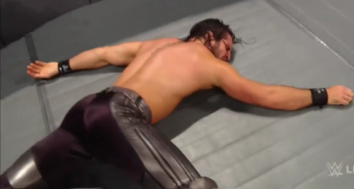 Sex rwfan11:  Seth Rollins  (credit> stuffNthings> pictures