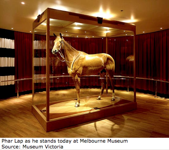 Phar Lap - Wikipedia