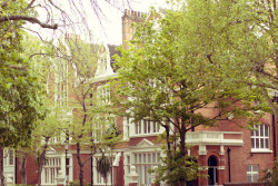 jacindaelena:  London