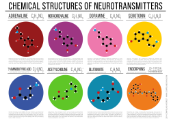 compoundchem:  Chemical structures of neurotransmitters poster (http://wp.me/p4aPLT-6C ) now up in the the site shop: http://goo.gl/Qp2mMQ ! A2, A1, and A0 sizes available.The aromatic chemistry reaction map is also now available. 