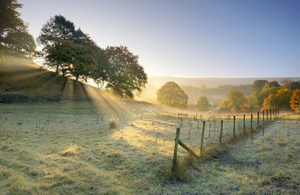 oldarcadiaAutumn colours, West Yorkshire (by Simon Higginbottom