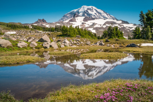 90377:Observation Rock, Mt. Rainier from Spray Park by remonstrate