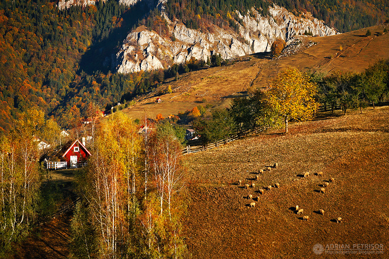 bookofoctober:  October in the Romanian village of Măgura. Photos by Adrian Petrisor