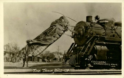 Sex F.D. Conard - Tall-tale postcard - The train pictures