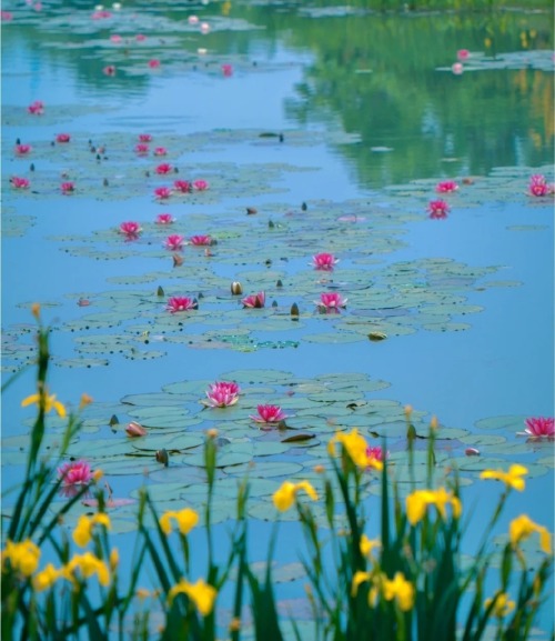 fuckyeahchinesegarden:yanquehu燕雀湖, mingxiaoling明孝陵, nanjing by Heraclio 