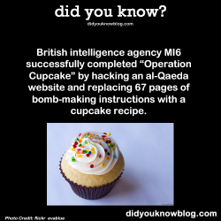 Did-You-Kno:  British Intelligence Agency Mi6 Successfully Completed “Operation