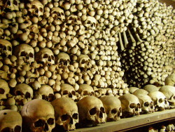 a-z-r-a-e-l:  http://io9.com/these-buildings-are-made-with-skulls-and-bones-1477011794