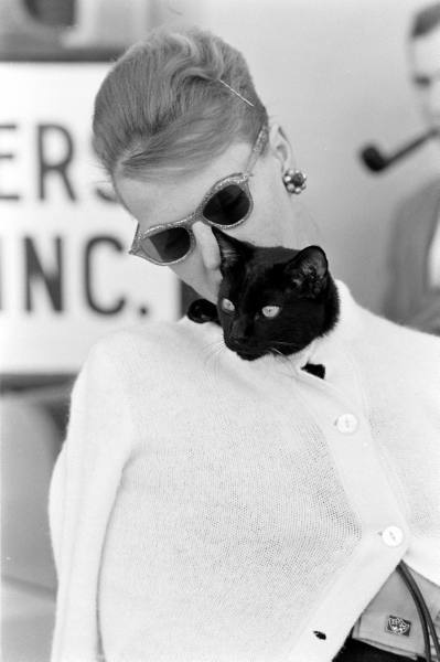 butw0rldenough:  Black cat auditions photographed for Life Magazine, 1961. The auditions