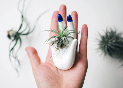 Jewelry holder/Air Plant Holder //nicetinymint