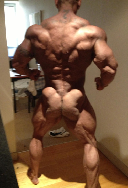Luke Timms