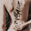 canncnball-a
