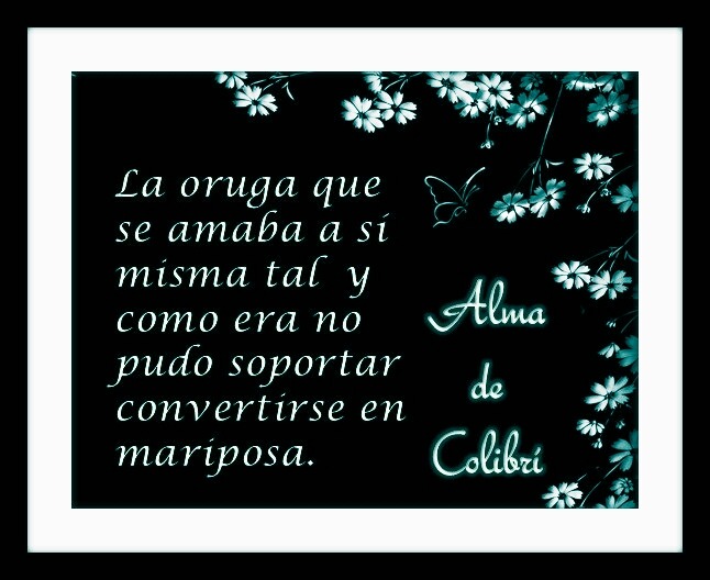 Por todos esos momentos buenos que compensan todo lo malo ... — @alma-de- colibri tu frase de la oruga me recordó a...