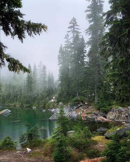silvaris:Alpine Lakes Wilderness by @spirithiker  