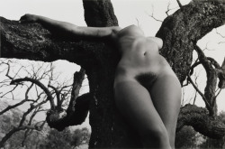 thegreatinthesmall:   LUCIEN CLERGUE 1934-2014