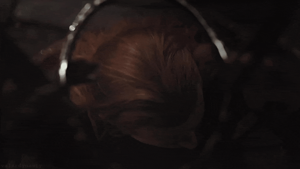edb8ccb064fce93834784810a547861d14cf8852.gifv