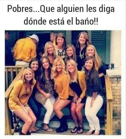 Sofea-00