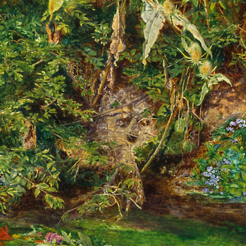 preraphaelist: hidden details in millais’ ophelia:  a robin perched on a branch in the up