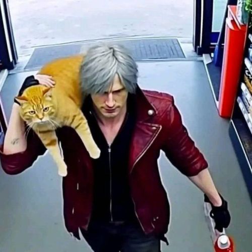 El Gato