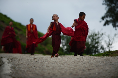 cacophiliac:  silvermender:  awkwardsituationist:  novice buddhist monks. photos: 1. mahabodhi temple in bodh gaya, india by rajesh kumar singh; 2. thimpu, bhutan by roberto schmidt; 3. tibet by brian sokol; 4. mandalay, myanmar by bonnie stewart; 5.