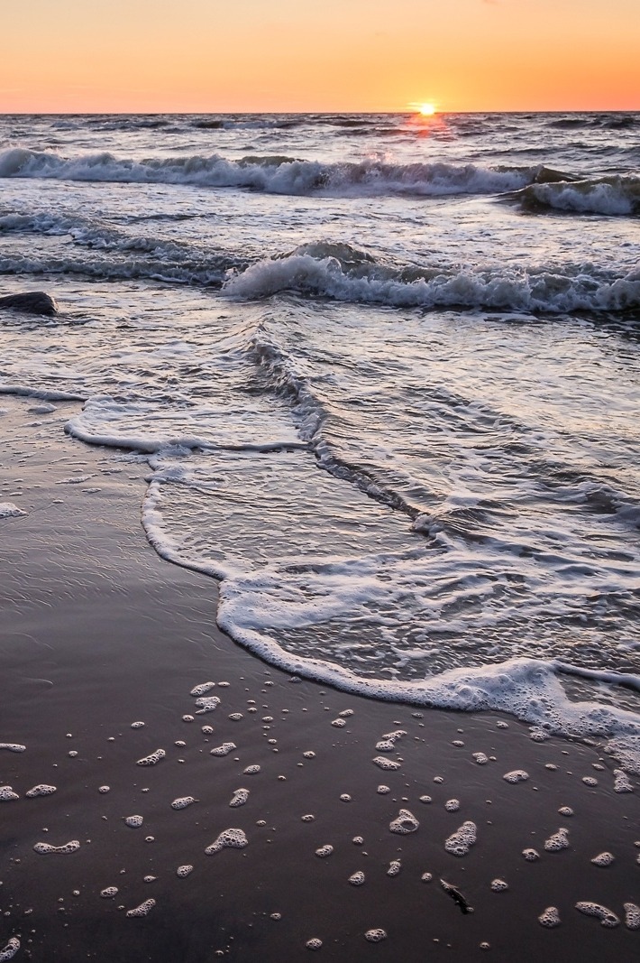 Kingdom Of The Ocean