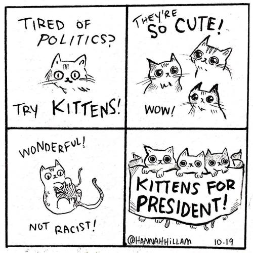 verbalvomits:  Just cover the US with kittens for the next two weeks 
