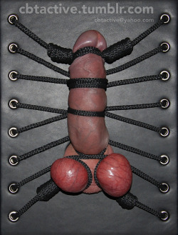 cbtactive:  Leather Bondage CBT BoardFollow me http://cbtactive.tumblr.comPhotos are copyrighted material and all rights are reserved © Any commercial use of my photos is strictly forbidden!