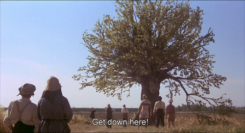 Amarcord (1973)