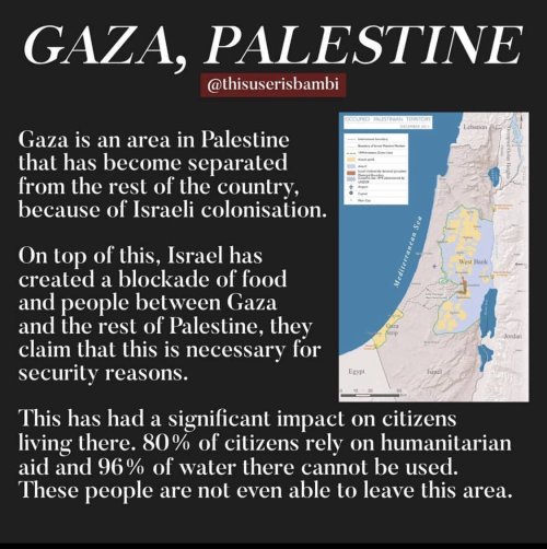 islamic-quotes: The truth about Palestinian - Israeli crisis, it’s not about religion but huma