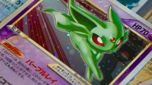 meowgon: queenspritzee: CV ♛ Favourite Cards 4/? プレイヤーズ会員限定プレゼントカード→イーブイルション☆Illus.&n