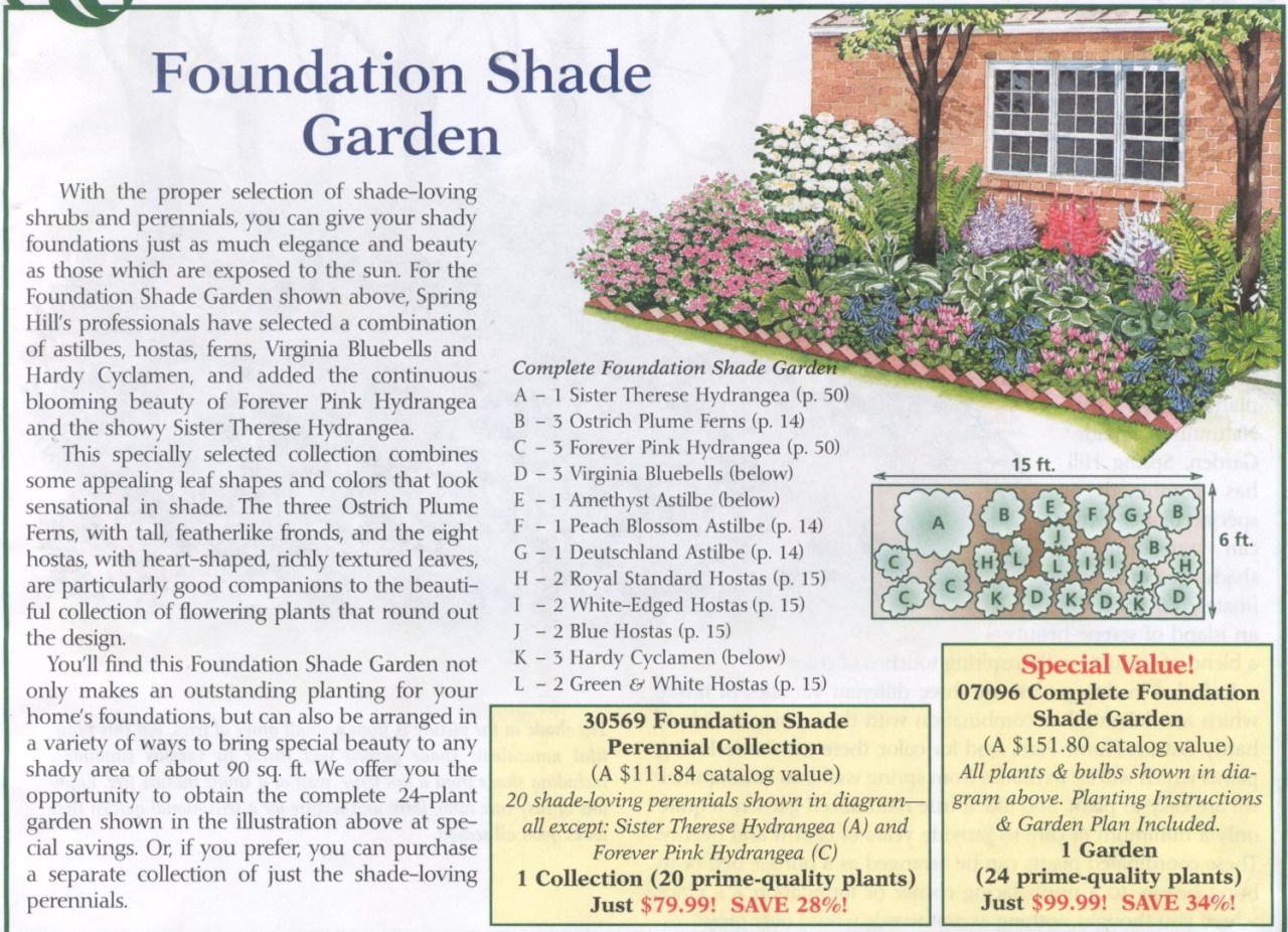 Foundation Shade Garden