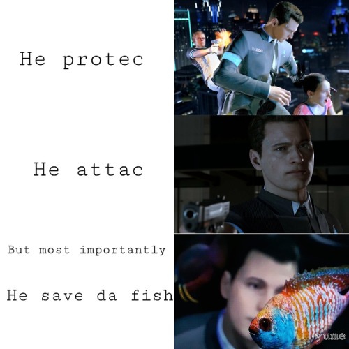 #SaveTheFish(By Yume On The Detroit Discord)