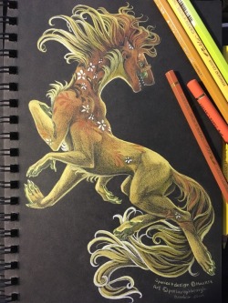 pallanophblargh:  More progress on Fleur! Unfortunately, not a good photograph, but that’s par for the course.  Caran d'Ache and Faber-Castell colored pencils on Strathmore black paper.