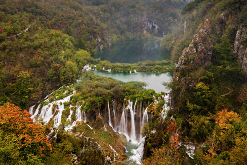 a-precis:  nubbsgalore:  the interconnected and cascading lakes and waterfalls of croatia’s plitvice national park. photos by (click pic) maurizio biancarelli, lee duguid, dominik kirner, sinisa klekovic and andrea pozzi  GUYS, IVE BEEN HERE