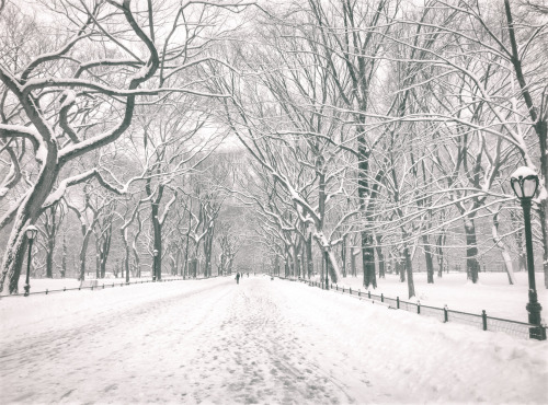 nythroughthelens: New York City - Winter - Central Park’s Most Beautiful Views —- One of