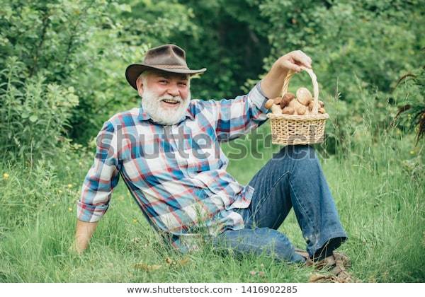 Old bearded man, smiling, leaning on his side with a basket of mushrooms on his knee. 