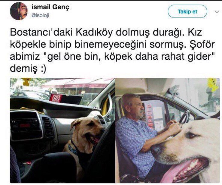 ismail Genç
@isoloji
Takip...