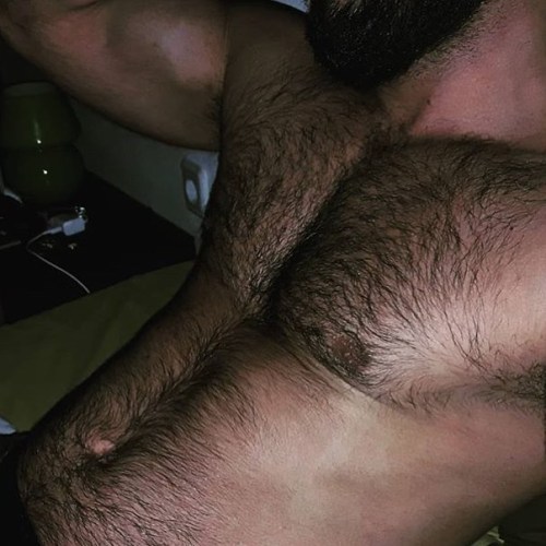 thehairyhunk: Featuring @1.2.things | By @thehairyhunk | #thehairyhunk #hairychest #hairybody #hunk