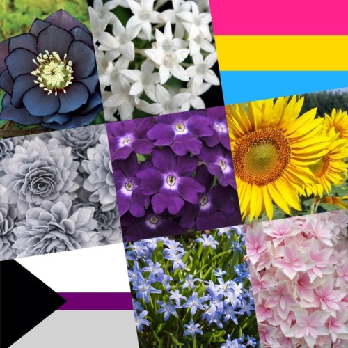 lgbt-moonboards-aesthetics: Pan-demisexual flowers for @hufflepuff-icedragonqueen by Mikey