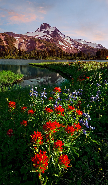 natureac:Take The 52 Week Photo Challenge or Check Out DSLR cameras here