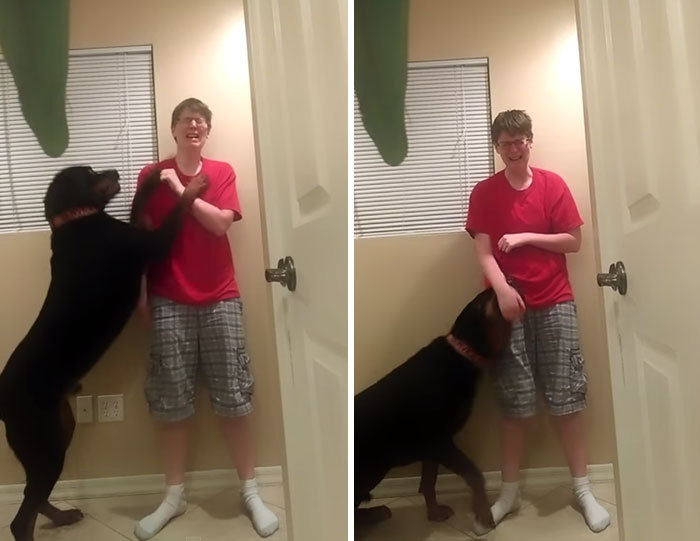 awesome-picz:    Dog Saves Owner With Asperger’s Syndrome From Violent Meltdown