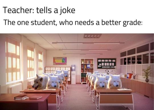 That one student