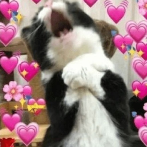 BLIZZARD OMG IM IN LOVE
