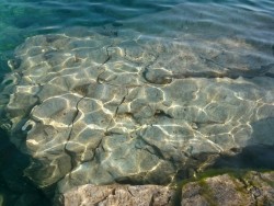 yuriaesthetic:  flower pot island. the water