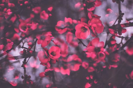 the breath that carried me