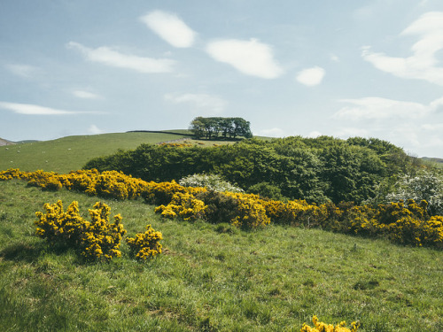 Cumbrian Countryside by aridleyphotography.com on Flickr.