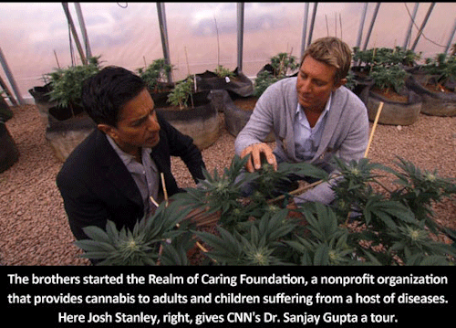 second-and-sleeping:scorpeous:wolfwithmunchies:laliberty:Marijuana stops child’s severe seizuresmore people need to know