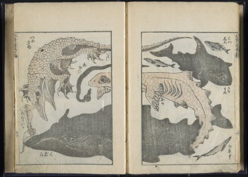 mia-japanese-korean: Transmitting the Spirit and Revealing the Form of Things: Hokusai’s Sketchbooks