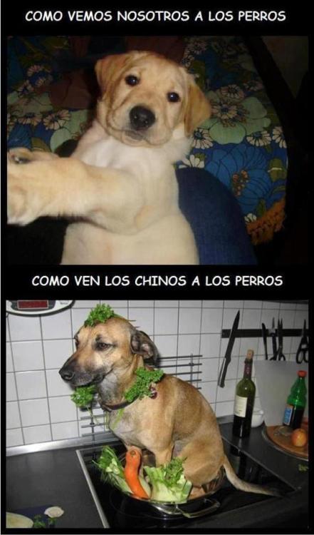 PROCRASTINACION...