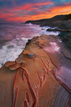 sundxwn:  Timeless by Sean Bagshaw